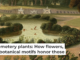 The popularity of rural cemeteries spurred the development of the first city parks. Heritage Art/Heritage Images via Getty Images